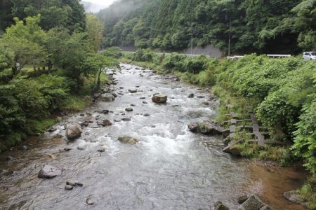 狩野川(狩野川漁業協同組合) 釣果