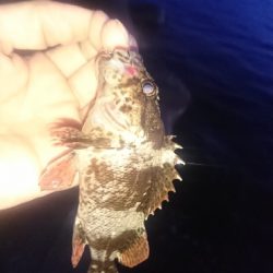 久しぶりの釣り