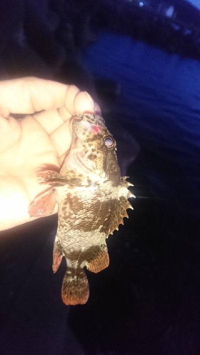 久しぶりの釣り