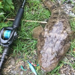 悪条件でこそメタルジャッカーSJ！　LUMICAスロージギング モニター投稿