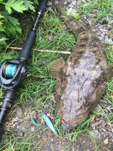 悪条件でこそメタルジャッカーSJ！　LUMICAスロージギング モニター投稿