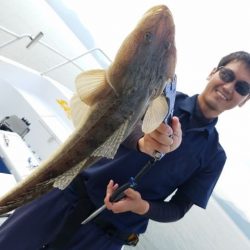 Magic（マジック） 釣果