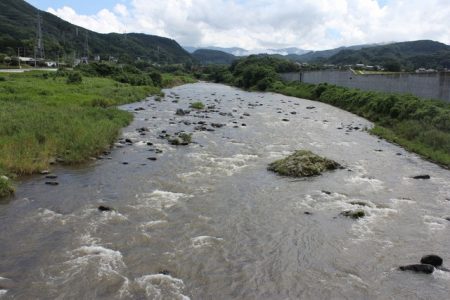 狩野川(狩野川漁業協同組合) 釣果