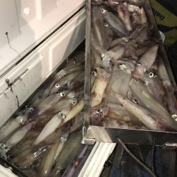 寿裕 （YOSHIHIRO） 釣果