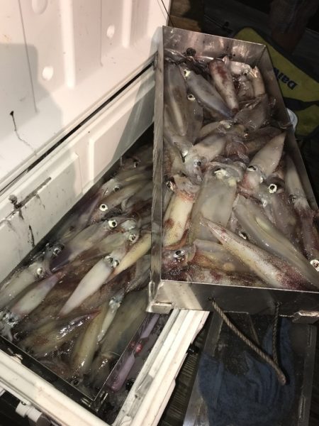 寿裕 （YOSHIHIRO） 釣果