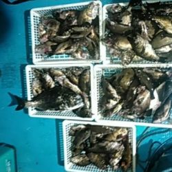 フィッシングガイド りょう 釣果