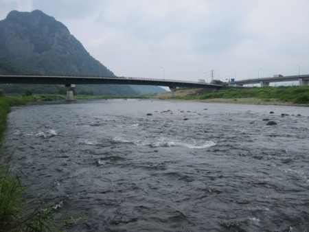 狩野川(狩野川漁業協同組合) 釣果