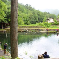 小菅トラウトガーデン 釣果