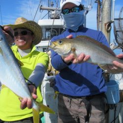 真祐丸 （しんゆうまる） 釣果