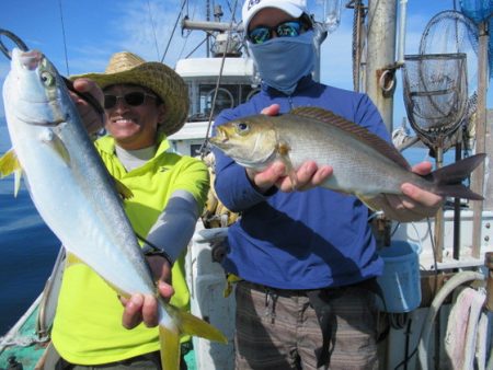 真祐丸 （しんゆうまる） 釣果