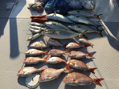ミタチ丸 釣果