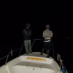 Magic(マジック) 釣果