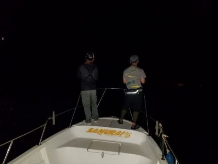 Magic(マジック) 釣果