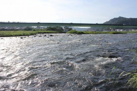 狩野川（狩野川漁業協同組合） 釣果