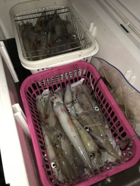 寿裕 （YOSHIHIRO） 釣果