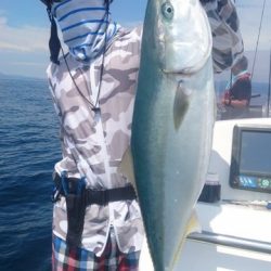 気仙沼　つり丸 釣果