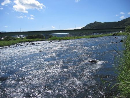 狩野川(狩野川漁業協同組合) 釣果