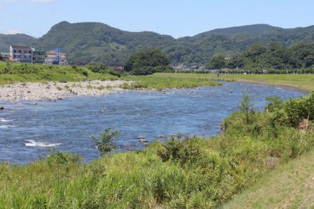 狩野川(狩野川漁業協同組合) 釣果