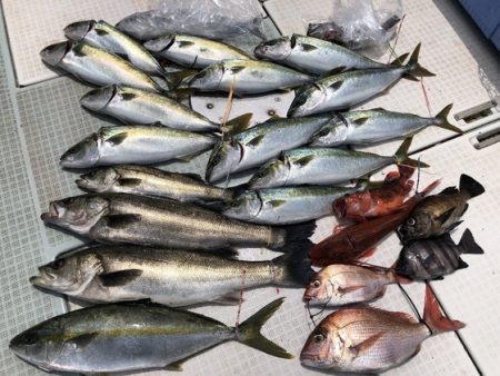 ふじしめ丸 釣果