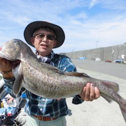 大進丸(新潟) 釣果