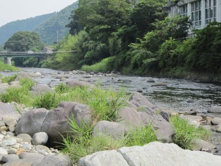 狩野川(狩野川漁業協同組合) 釣果