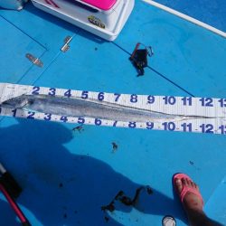 深川 吉野屋 釣果