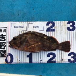 深川 吉野屋 釣果