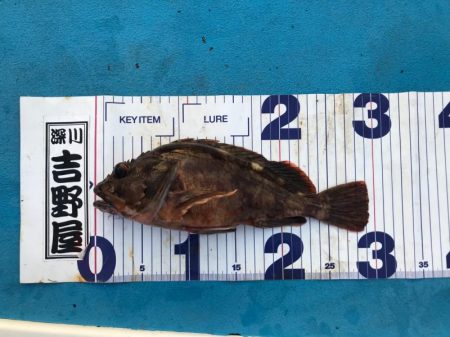 深川 吉野屋 釣果