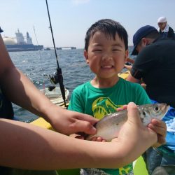 深川　吉野屋 釣果