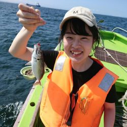 深川 吉野屋 釣果