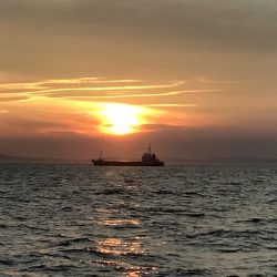 寿裕 （YOSHIHIRO） 釣果