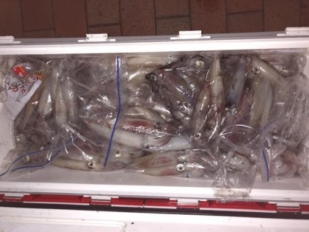 幸風（さちかぜ） 釣果