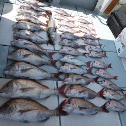 遊漁船 幸友丸 釣果