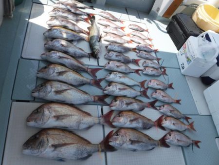 遊漁船 幸友丸 釣果