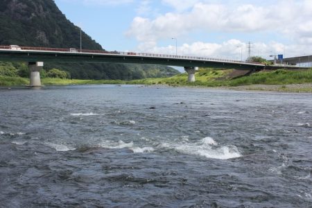 狩野川（狩野川漁業協同組合） 釣果