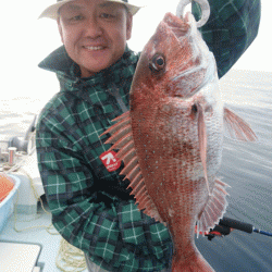 遊漁船ブルーウッズ 釣果