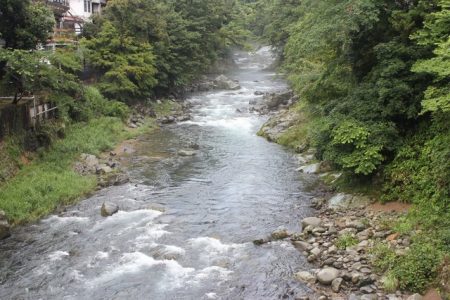 狩野川(狩野川漁業協同組合) 釣果