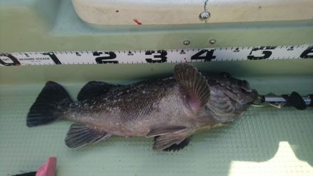 気仙沼　つり丸 釣果