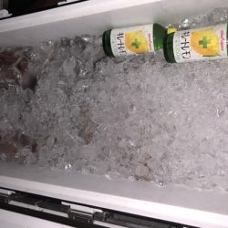 幸風（さちかぜ） 釣果