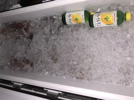 幸風（さちかぜ） 釣果