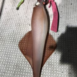 寿裕 （YOSHIHIRO） 釣果