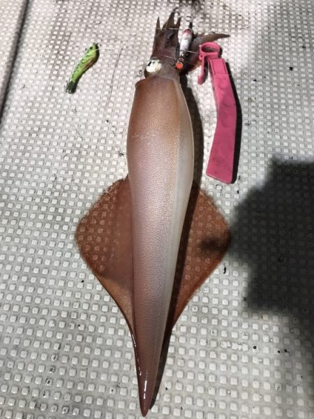 寿裕 （YOSHIHIRO） 釣果