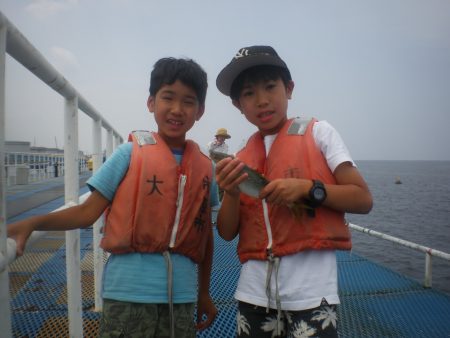 オリジナルメーカー海づり公園(市原市海づり施設) 釣果