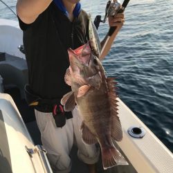 Blue.win 海人丸 釣果