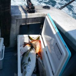 第五慶門丸 釣果