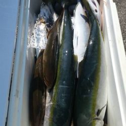 第五慶門丸 釣果