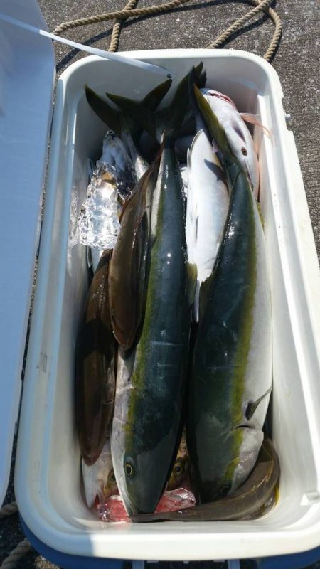 第五慶門丸 釣果