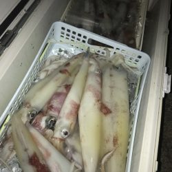 寿裕 （YOSHIHIRO） 釣果