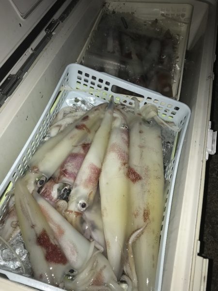 寿裕 （YOSHIHIRO） 釣果