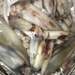 寿裕 （YOSHIHIRO） 釣果